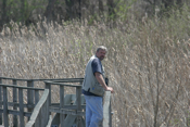 Jeff Davis in Spring Valley