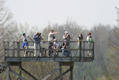 Observation Tower