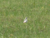 IMG 7158