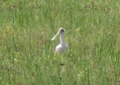 IMG 7159