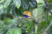 IMG 7237