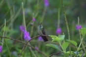 IMG 7284
