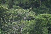 IMG 7302