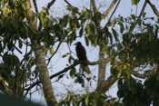 IMG 7052