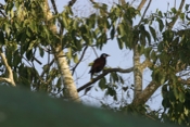 IMG 7054