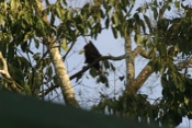 IMG 7057