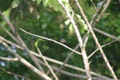 IMG 7076