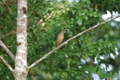 IMG 7077