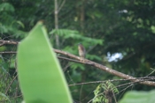 IMG 7081