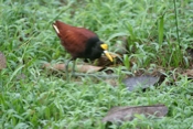IMG 7100