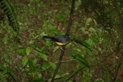 IMG 7680