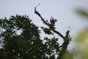 IMG 7696