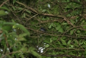 IMG 7700