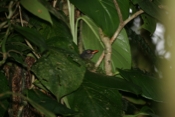 IMG 7703