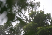 IMG 7710
