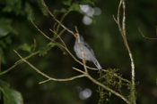 IMG 7716