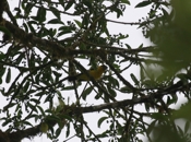 IMG 7726