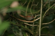 IMG 7737