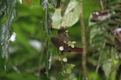 IMG 7742 45