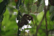 IMG 7749