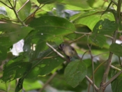 IMG 7756
