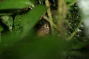 IMG 7760