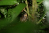 IMG 7764