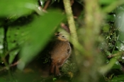 IMG 7766