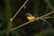 IMG 7784