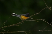 IMG 7785