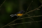 IMG 7786