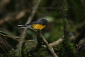 IMG 7795