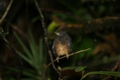IMG 7799
