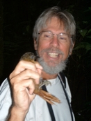 striped breast tree hunter