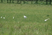 IMG 7151