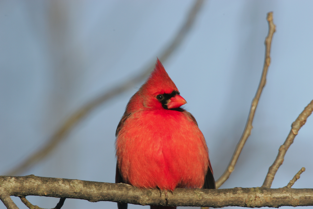 Full Size Image = 5122 K