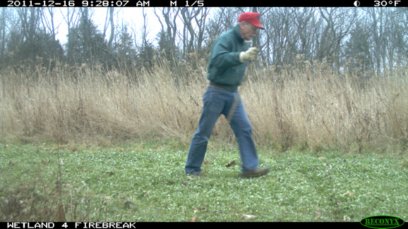 Full Size Image = 2007 K