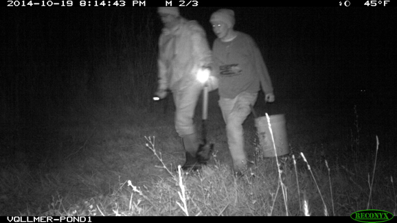 Full Size Image = 777 K