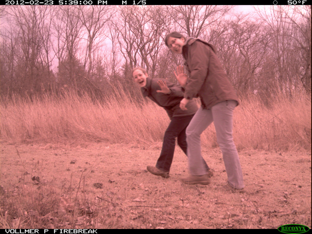 Full Size Image = 2593 K