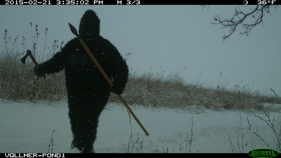 Full Size Image = 805 K