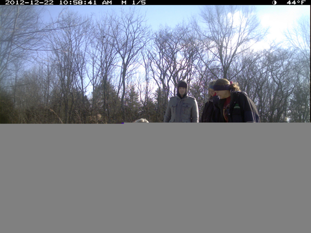 Full Size Image = 2860 K