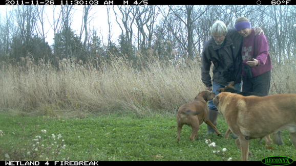 Full Size Image = 2035 K