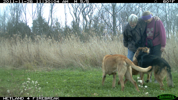 Full Size Image = 2046 K