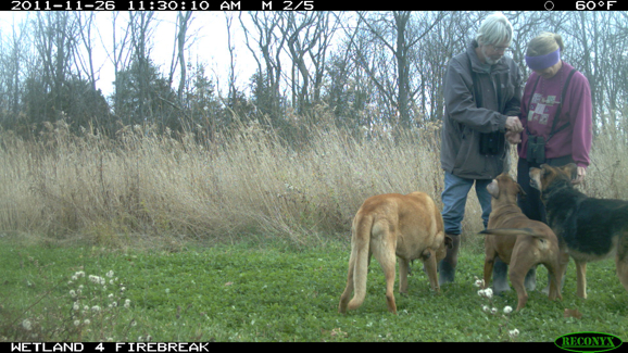 Full Size Image = 2037 K