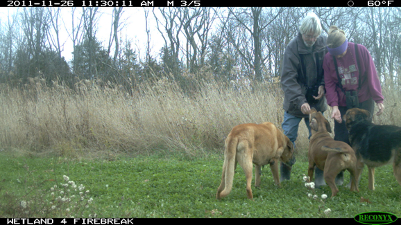 Full Size Image = 2053 K