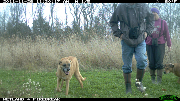 Full Size Image = 1959 K