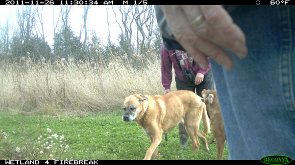 Full Size Image = 1756 K