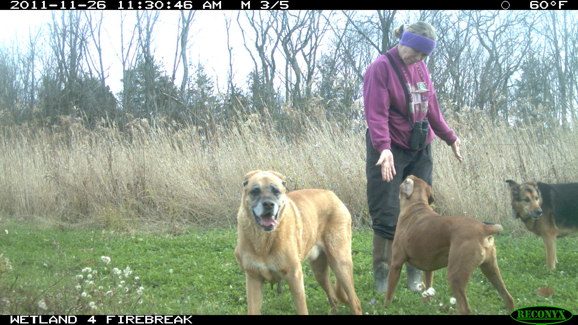 Full Size Image = 2098 K