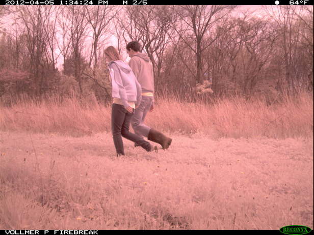 Full Size Image = 2254 K