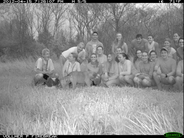 Full Size Image = 1194 K